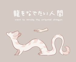 Rule 34 | animal focus, bilingual, blue eyes, brown background, disembodied hand, dragon, eastern dragon, english text, from side, full body, highres, japanese text, mee (mee0118), mixed-language text, original, simple background, sketch, solo focus, standing, | |
