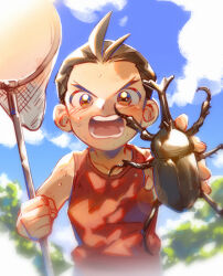 Rule 34 | 1boy, ace attorney, aged down, animal, antenna hair, apollo justice, blue sky, blush, brown eyes, brown hair, bug, butterfly net, child, hand net, hi-fi (fijazzy), holding, holding animal, holding butterfly net, male focus, open mouth, outdoors, plant, red shirt, red tank top, shirt, short hair, sky, sleeveless, sleeveless shirt, solo, stag beetle, tank top, teeth, v-shaped eyebrows