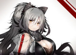 Rule 34 | 1girl, animal ears, arknights, blush, breasts, cat ears, cleavage, commentary, ekuesu, grey background, hair between eyes, jacket, large breasts, long hair, looking at viewer, open clothes, open jacket, schwarz (arknights), see-through, silver hair, solo, upper body, yellow eyes