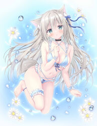 Rule 34 | 1girl, :o, absurdres, animal ear fluff, animal ears, bare shoulders, barefoot, bikini, black choker, blue bikini, blue eyes, breasts, choker, cleavage, collarbone, commentary request, flower, frilled bikini, frills, full body, grey hair, hand up, highres, korie riko, long hair, looking at viewer, medium breasts, navel, original, parted lips, solo, swimsuit, tail, very long hair, water drop, white flower, wrist cuffs
