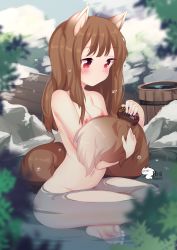 Rule 34 | 1girl, absurdres, animal ears, bathing, blurry, breasts, brown hair, brush, bucket, depth of field, expressionless, feet, highres, holo, indian style, long hair, nature, niniidawns, nipples, nude, partially submerged, red eyes, sitting, small breasts, soles, spice and wolf, tail, brushing tail, toes, water, wolf ears, wolf tail