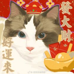 Rule 34 | animal, animal focus, aqua eyes, artist name, black cat, cat, chinese commentary, chinese text, closed mouth, commentary request, hat, hongbao, looking at viewer, no humans, original, outline, purple outline, ragdoll (cat), red background, red headwear, translation request, watermark, weibo logo, whiskers, white cat, zhuzai anshe dechun