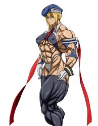 Rule 34 | abs, arc system works, blazblue, extreme muscles, noel vermillion, tagme