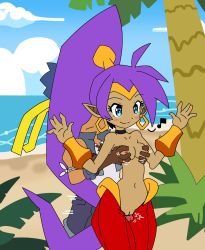 Rule 34 | 1boy, 1girl, bolo (shantae), grabbing another&#039;s breast, cleft of venus, clothed male nude female, grabbing, grinding, happy sex, highres, nude, penis, purple hair, pussy, shantae, shantae (series)