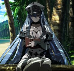 Rule 34 | 10s, 1girl, akame ga kill!, blue eyes, blue hair, book, breasts, esdeath, hat, highres, large breasts, long hair, matching hair/eyes, sitting, smile, solo, square enix, stitched, third-party edit, uniform, writing