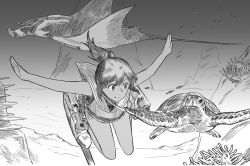 Rule 34 | 1girl, coral, fish, greyscale, i-401 (kancolle), kantai collection, monochrome, outstretched arms, ponytail, rigging, sailor collar, sebas murasaki, stingray, turtle, underwater
