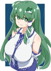 Rule 34 | 1girl, :3, be yu, blue background, blue skirt, detached sleeves, frog, frog hair ornament, green eyes, green hair, hair ornament, hair tubes, highres, kochiya sanae, long hair, looking at viewer, nontraditional miko, single hair tube, skirt, snake, snake hair ornament, solo, sweatdrop, touhou, upper body, white background
