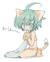 Rule 34 | 1girl, animal ears, animal hands, bad id, bad pixiv id, blade (galaxist), cat ears, cat paws, cat tail, cham cham, fish, gloves, green eyes, grey hair, kneeling, paw gloves, paw shoes, samurai spirits, shoes, snk, solo, tail