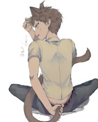 Rule 34 | 1boy, ahoge, animal ears, annoyed, brown hair, cat boy, cat ears, cat tail, commentary request, danganronpa (series), danganronpa 2: goodbye despair, extra ears, fang, from behind, hand on own ear, hand on own head, highres, hinata hajime, kemonomimi mode, looking back, male focus, open mouth, pants, profile, shirt, short hair, short sleeves, simple background, sitting, skin fang, solo, suzumetarou, sweatdrop, tail, tail grab, translation request, white background