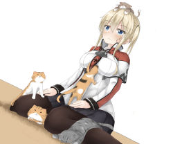 Rule 34 | 10s, 1girl, absurdres, anchor symbol, animal, animal on head, animal on lap, between legs, black pantyhose, blonde hair, blue eyes, blush, breasts, capelet, cat, cat on head, cat on lap, celtic knot, collared shirt, cross, dutch angle, eyebrows, graf zeppelin (kancolle), highres, iron cross, kantai collection, long sleeves, moyoron, necktie, on head, on lap, pantyhose, pleated skirt, shirt, sitting, skirt, sweat, sweatdrop, twintails, wariza, white shirt