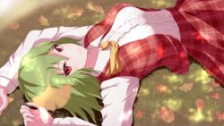Rule 34 | 1girl, arms up, ascot, blurry, blurry foreground, breasts, center frills, closed mouth, commentary request, dappled sunlight, depth of field, frills, ginkgo tree, grass, hair between eyes, kaoru (gensou yuugen-an), kazami yuuka, large breasts, light blush, light smile, looking at viewer, lying, medium hair, on back, on ground, outdoors, plaid, plaid skirt, plaid vest, red skirt, red vest, skirt, skirt set, solo, sunlight, touhou, vest, wing collar, yellow ascot