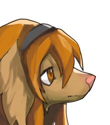 Rule 34 | animal, animal focus, beanie, brown eyes, brown hair, closed mouth, clothed animal, commentary request, dog, fur collar, hat, looking to the side, lowres, no humans, original, portrait, short hair, simple background, solo, white background, wintom