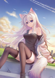 Rule 34 | 1girl, absurdres, animal ear fluff, animal ears, antenna hair, bird, black shirt, black thighhighs, blue sky, bottomless, bra strap, breasts, cat ears, cleavage, closed mouth, cloud, collarbone, day, floating hair, fox ears, fox girl, fox tail, hair between eyes, highres, kirby d a, long hair, looking at viewer, medium breasts, off shoulder, original, outdoors, purple eyes, resolution mismatch, shirt, silver hair, sitting, sky, smile, solo, source smaller, tail, thighhighs, very long hair