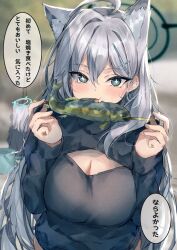 Rule 34 | + +, 2girls, ahoge, animal ear fluff, animal ears, black shirt, blue archive, blue eyes, blush, breasts, cleavage, cleavage cutout, clothing cutout, cross hair ornament, dual persona, eating, extra ears, fish, food, grey hair, hair between eyes, hair ornament, karappo (poket12), large breasts, long hair, long sleeves, looking at viewer, medium hair, multiple girls, open mouth, shiroko (blue archive), shiroko terror (blue archive), shirt, speech bubble, translation request, wolf ears