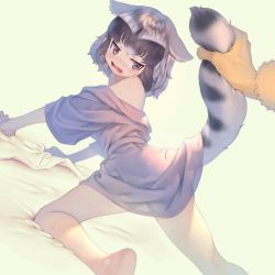 Rule 34 | 2girls, all fours, animal ears, bare shoulders, bed sheet, black hair, blush, common raccoon (kemono friends), fang, fennec (kemono friends), fur trim, grey hair, highres, holding another&#039;s tail, kemono friends, mifu (b24vc1), multicolored hair, multiple girls, open mouth, out of frame, raccoon ears, raccoon tail, sheet grab, short hair, simple background, tail, tail grab, veins, white hair, yellow background