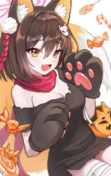 Rule 34 | absurdres, animal costume, animal ears, animal hands, blue archive, breasts, brown hair, candy, cat paws, fang, food, fox ears, fox girl, fox tail, halloween, halloween bucket, halloween costume, halo, highres, izuna (blue archive), looking at viewer, medium breasts, medium hair, pink scarf, pom pom (clothes), prock, scarf, skin fang, smile, tail, white background