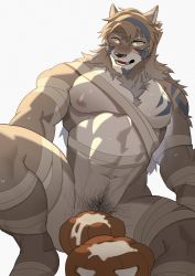 Rule 34 | 1boy, abs, alternate facial hair, alternate pectoral size, animal ears, bandages, bara, bare pectorals, beige fur, blush, cum, cum pool, cumdrip, facial hair, fang, furry, furry male, glowing, glowing eyes, goatee, hachi duchi, hair between eyes, halloween, halloween costume, highres, jacket, jacket on shoulders, large pectorals, male focus, male pubic hair, mature male, midriff sarashi, muscular, muscular male, naked bandage, navel, navel hair, nipples, pectorals, pubic hair, revealing clothes, sarashi, short hair, sideburns, solo, spread legs, stomach, stubble, sweat, temujin (housamo), thick thighs, thighs, tokyo houkago summoners, wolf boy, wolf ears