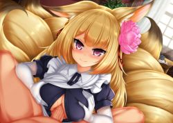Rule 34 | 1girl, alternate costume, animal ears, blonde hair, blush, breasts squeezed together, breasts, commentary request, elbow gloves, enmaided, eyes visible through hair, flower, fox ears, fox tail, gloves, hair flower, hair ornament, hetero, indoors, kayou (sennen sensou aigis), large breasts, long hair, looking at viewer, maid, minaha (playjoe2005), multiple tails, paizuri, paizuri under clothes, penis, pink eyes, puffy short sleeves, puffy sleeves, sennen sensou aigis, short sleeves, smile, solo focus, tail, white gloves, window
