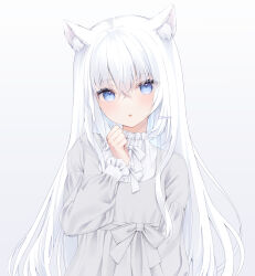 Rule 34 | 1girl, animal ears, blue eyes, cat ears, cat girl, dress, grey background, grey dress, highres, kanora, long hair, long sleeves, looking at viewer, original, parted lips, puffy long sleeves, puffy sleeves, shirt, white hair, white shirt