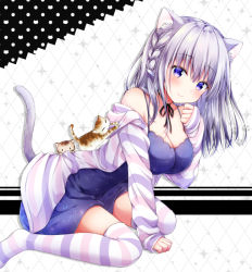 Rule 34 | 1girl, animal, animal ear fluff, animal ears, arm support, bare shoulders, black ribbon, blush, braid, breasts, cat, cat ears, cat girl, cat tail, cleavage, closed mouth, collarbone, commentary request, dress, hair between eyes, hand up, jacket, leaning forward, long hair, long sleeves, medium breasts, murasaki (murasakiiro no yoru), neck ribbon, no shoes, off shoulder, open clothes, open jacket, original, purple dress, purple eyes, ribbon, silver hair, sitting, sleeveless, sleeveless dress, sleeves past wrists, smile, solo, striped clothes, striped jacket, striped thighhighs, tail, thighhighs, wariza