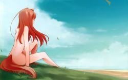 Rule 34 | 1girl, absurdres, animal ears, ayakura juu, barefoot, blue sky, brown hair, cloud, day, field, highres, holo, huge filesize, nude, scan, sitting, sky, solo, spice and wolf, tail, wallpaper, wolf ears, wolf tail