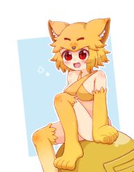 Rule 34 | 1girl, animal feet, animal hands, bell, blonde hair, blue background, blush, bottomless, breasts, ebimaki bot, foot out of frame, fox hat, halterneck, medium breasts, moonlight flower, open mouth, ragnarok online, red eyes, shiny skin, short hair, simple background, smile, solo, star (symbol), two-tone background, white background