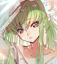 Rule 34 | 1girl, c.c., code geass, creayus, falling petals, green hair, long hair, looking at viewer, open mouth, petals, smile, solo
