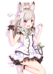 Rule 34 | nanashi inc., animal, animal ear fluff, animal ears, animal on head, animare, black frills, blush, braid, buttons, commentary, dress, fox ears, frills, highres, jacket, long hair, name tag, on head, open clothes, open jacket, open mouth, purple eyes, scarf, sch, shiromiya mimi, silver hair, simple background, sleeveless, smile, solo, standing, standing on one leg, virtual youtuber, white background, white dress, white jacket