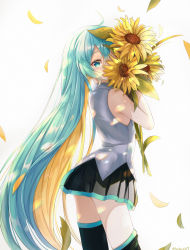 Rule 34 | 1girl, absurdres, ahoge, alternate hairstyle, aqua eyes, aqua hair, black skirt, black thighhighs, blonde hair, covering face, cowboy shot, flower, grey shirt, hair between eyes, hatsune miku, highres, holding, holding flower, long hair, looking at viewer, looking back, multicolored hair, noneon319, petals, petals on liquid, pleated skirt, shirt, sidelocks, simple background, skirt, sleeveless, sleeveless shirt, solo, sunflower, thighhighs, two-tone hair, vocaloid, white background, yellow flower