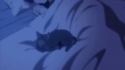 Rule 34 | 1girl, animated, animated gif, anime screenshot, bed, bed sheet, blanket, cat, closed eyes, kumichou musume to sewagakari, long hair, own hands clasped, pillow, sakuragi yaeka, sleeping