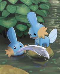 Rule 34 | blurry, commentary request, creature, creatures (company), day, game freak, gen 3 pokemon, hagi 753, highres, leaf, looking down, mudkip, nintendo, no humans, open mouth, outdoors, pokemon, pokemon (creature), rock, smile, standing, water