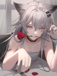 Rule 34 | 1girl, animal ears, arknights, bare shoulders, black choker, black nails, choker, commentary, flower, grey eyes, grey hair, grin, highres, indoors, kernel killer, lappland (arknights), long hair, looking at viewer, material growth, mouth hold, nail polish, oripathy lesion (arknights), red flower, red rose, revision, rose, smile, solo, strapless, teeth hold, tube top, wolf ears