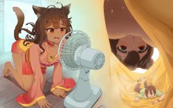 Rule 34 | 1boy, 1girl, animal ears, between breasts, blush, breasts, brown hair, cat ears, cat girl, cat tail, cleavage, giant, giantess, highres, japanese clothes, red eyes, small breasts, steamy tomato, tail