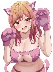 Rule 34 | 1girl, 9696k, ahoge, animal costume, animal ears, blush, breasts, cat costume, cat cutout, cat ears, cat lingerie, cat paw, cat tail, cleavage, clothing cutout, collarbone, highres, hololive, hololive dev is, ichijou ririka, large breasts, long hair, looking at viewer, meme attire, navel, orange eyes, orange hair, paw pose, solo, sweat, sweatdrop, tail, virtual youtuber, white background