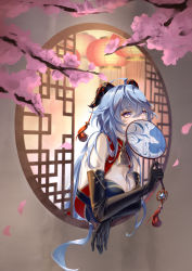 Rule 34 | 1girl, absurdres, ahoge, alternate costume, artist name, bare shoulders, bell, black gloves, blue hair, branch, breasts, cherry blossoms, china dress, chinese clothes, chinese knot, cleavage, cleavage cutout, clothing cutout, commentary request, covering own mouth, cowbell, dress, elbow gloves, flower knot, ganyu (genshin impact), genshin impact, gloves, goat horns, gold trim, hair between eyes, hand fan, highres, holding, holding fan, horns, lantern, leaning forward, long hair, looking outside, looking up, medium breasts, messy hair, ngkhyn, paper fan, paper lantern, petals, purple eyes, qilin (mythology), signature, solo, tassel, through window, uchiwa, upper body, vision (genshin impact), wall