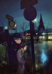 Rule 34 | 1girl, alt (apou), bare tree, black hair, blurry, cellphone, church, coat, dark, depth of field, eyelashes, frown, green eyes, guitar case, hand in pocket, instrument case, lights, looking at viewer, looking back, mole, mole under eye, night, original, phone, reflection, road, road sign, scarf, short hair, sign, silhouette, sky, smartphone, street, town, tree, winter clothes, winter coat