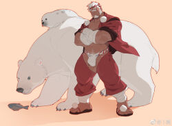 Rule 34 | 1boy, alternate costume, bandaid, bandaid on face, bandaid on nose, bara, bear, ben (rollingstonex6), bulge, clothing cutout, crossed arms, crotchless, crotchless pants, dark-skinned male, dark skin, facial hair, full body, fundoshi, goatee, headband, japanese clothes, large pectorals, male focus, mature male, muscular, muscular male, mutton chops, original, pants, pectorals, polar bear, red headband, rollingstonex6, sandals, seal (animal), short hair, smile, solo, thick eyebrows, thick thighs, thigh cutout, thighs, tusks, white hair