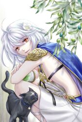 Rule 34 | 1girl, ahoge, another eden, armor, bell, black cat, blue cape, breasts, cape, cat, closed eyes, crossed arms, dress, feet out of frame, feinne (another eden), flower, hair between eyes, hair flower, hair ornament, highres, kyros (another eden), looking at viewer, looking back, medium breasts, medium hair, mido riku, neck bell, parted lips, plant, red eyes, short dress, shoulder armor, sideboob, smile, squatting, white dress, white flower, white hair