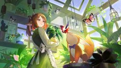 Rule 34 | 1girl, animal, animal ears, apron, arknights, black bow, black eyes, blue bow, bow, brown hair, bug, butterfly, cactus, commentary, cowboy shot, day, english commentary, english text, flower pot, gradient eyes, green vest, greenhouse, hair bow, insect, inuko (redconstellation), lantern, light particles, long sleeves, looking at another, mixed-language commentary, multicolored eyes, parted lips, perfumer (arknights), plant, ponytail, striped, striped bow, sunlight, swept bangs, vase, vest, white apron, window, yellow eyes