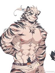 Rule 34 | 1boy, abs, animal ears, arknights, artist request, bara, barbell piercing, boxer briefs, cowboy shot, facial hair, furry, furry male, goatee, highres, large pectorals, leng sediao kafei, looking at viewer, male focus, male underwear, mountain (arknights), muscular, muscular male, nipples, pectorals, piercing, scar, scar across eye, scar on arm, short hair, solo, thick eyebrows, tiger boy, tiger ears, topless male, underwear, veins, veiny arms, white hair, white male underwear
