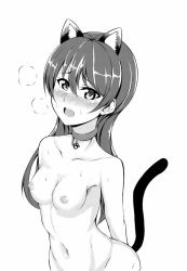 Rule 34 | 1girl, animal ears, arms behind back, artist request, blush, breasts, ca ba ya ki, cat ears, cat tail, choker, collarbone, completely nude, greyscale, hair between eyes, kemonomimi mode, long hair, looking at viewer, love live!, love live! school idol project, monochrome, navel, nipples, nude, open mouth, simple background, small breasts, solo, sonoda umi, standing, sweat, tail, white background