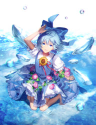 Rule 34 | 1girl, :d, barefoot, blue bow, blue dress, blue eyes, blue hair, bow, cirno, dress, flower, frilled sleeves, frills, full body, hair between eyes, hair bow, hidden star in four seasons, highres, ice, ice wings, kneeling, looking at viewer, morning glory, open mouth, puffy short sleeves, puffy sleeves, short hair, short sleeves, smile, solo, sunakumo, sunflower, tan, tanned cirno, touhou, wings