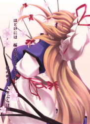 Rule 34 | 1girl, bad id, bad pixiv id, blonde hair, branch, cherry blossoms, female focus, futami kito, hat, highres, looking up, profile, solo, touhou, translation request, yakumo yukari