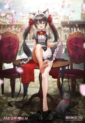 Rule 34 | 1girl, animal ear fluff, animal ears, apron, barefoot, black cat, black hair, breasts, cat, cat-sith (destiny child), cat ears, chairs, clothes lift, destiny child, feet up, frilled apron, frilled skirt, frills, green eyes, hair ribbon, highres, long hair, looking at viewer, maid, maid apron, maid headdress, neck bell, petals, ribbon, sitting, sitting on table, skirt, skirt lift, small breasts, thighhighs, twintails, white thighhighs