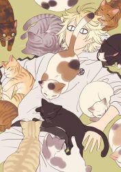 Rule 34 | 1boy, animal, animal on chest, animal on lap, animal on stomach, blonde hair, calico, casual, cat, enmto, grey hoodie, grey pants, hood, hoodie, lying, male focus, nansen ichimonji, on back, on floor, on lap, pants, slit pupils, solo, too many, too many cats, touken ranbu, track suit