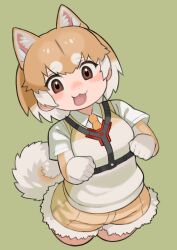Rule 34 | 1girl, animal ears, brown eyes, brown hair, cardigan, dog (shiba inu) (kemono friends), dog ears, dog girl, dog tail, elbow gloves, extra ears, gloves, green background, highres, kemono friends, looking at viewer, multicolored hair, necktie, rinx, shirt, short hair, shorts, simple background, solo, tail, tongue, two-tone hair, white hair