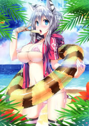 Rule 34 | 1girl, absurdres, akaza, animal ears, beach, bikini, blue eyes, blush, breasts, cameltoe, cat ears, cat tail, cleavage, cloud, cloudy sky, collarbone, covered erect nipples, cowboy shot, day, fingernails, flower, food, gluteal fold, groin, hair between eyes, hand up, highres, holding, hood, hood down, hoodie, innertube, large breasts, leaf, legs apart, long fingernails, looking at viewer, micro bikini, navel, ocean, open clothes, open hoodie, open mouth, original, outdoors, plant, popsicle, sand, scan, see-through, shiny skin, short hair, side-tie bikini bottom, silver hair, sky, solo, sparkle, standing, stomach, striped clothes, striped thighhighs, swim ring, swimsuit, tail, thighhighs, tiger ears, tiger tail, tongue, tongue out, toranoana, underboob, water
