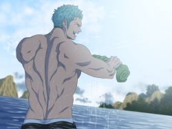 Rule 34 | 1boy, back, dark-skinned male, dark skin, from behind, green hair, green kimono, highres, japanese clothes, kimono, looking to the side, male focus, nape, one piece, pectorals, pinattsu, roronoa zoro, scar, scar across eye, scar on face, topless male, short hair, smile, solo, sunlight, toned, toned male, water, wet, wet pants