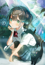 Rule 34 | 1girl, :o, bag, black cat, blush, bow, bowtie, brown hair, cat, collarbone, collared shirt, colored sclera, ear ornament, earrings, green eyes, hand on own chin, highres, jewelry, kitten, original, outdoors, pleated skirt, ponytail, rain, red bow, red bowtie, school bag, school uniform, shirt, short hair, short sleeves, skirt, solo, squatting, strap, stud earrings, transparent, transparent umbrella, umbrella, umbrella on arm, water drop, wet, whiskers, white shirt, yellow sclera, yukimaru nun