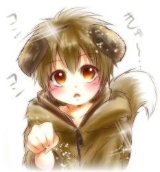 Rule 34 | 1boy, animal ears, blush, brown eyes, brown hair, dog ears, dog tail, looking at viewer, male focus, nora wanko, original, paw pose, short hair, simple background, solo, tail, white background